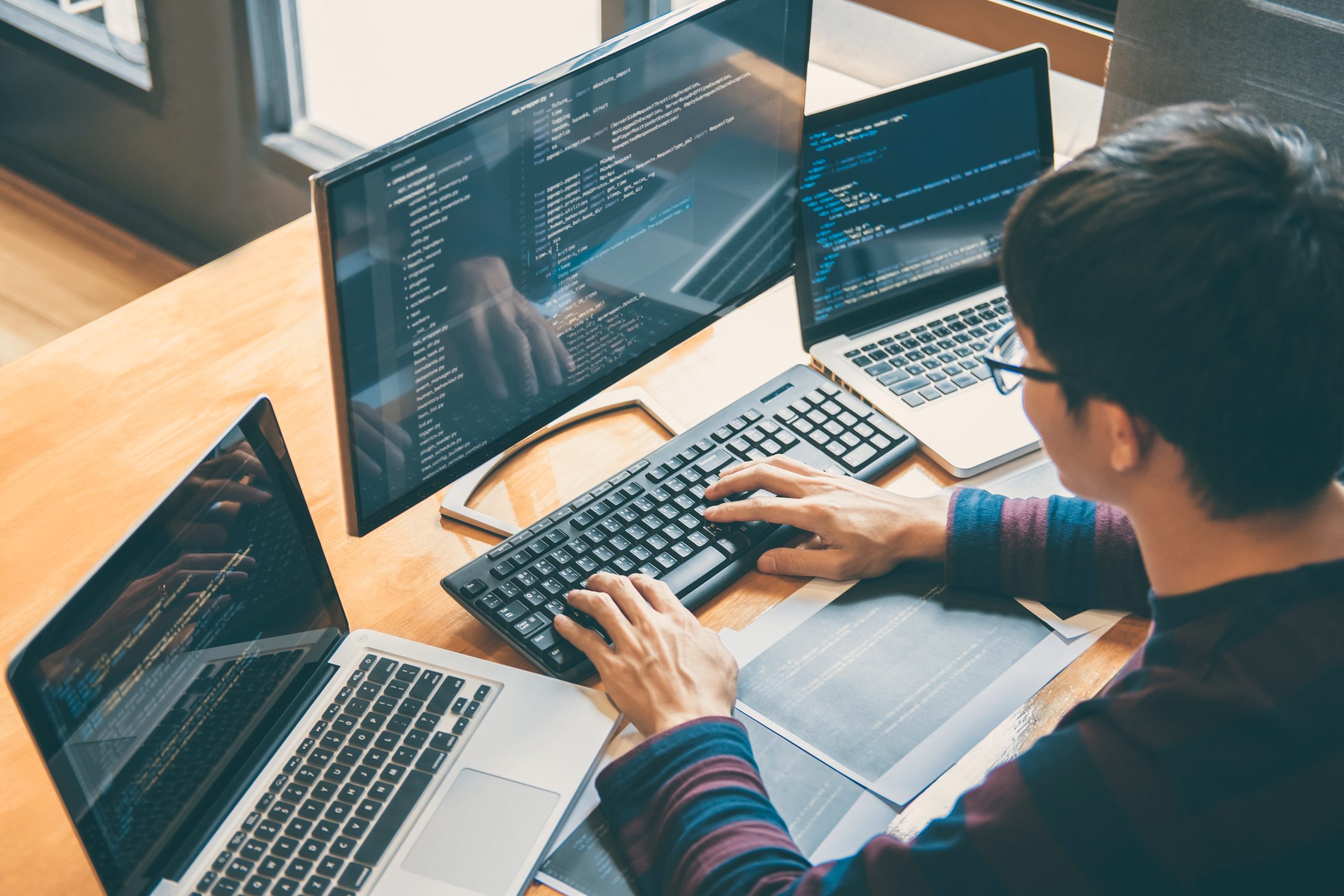 Professional,development,programmer,working,in,programming,website,a,software,and