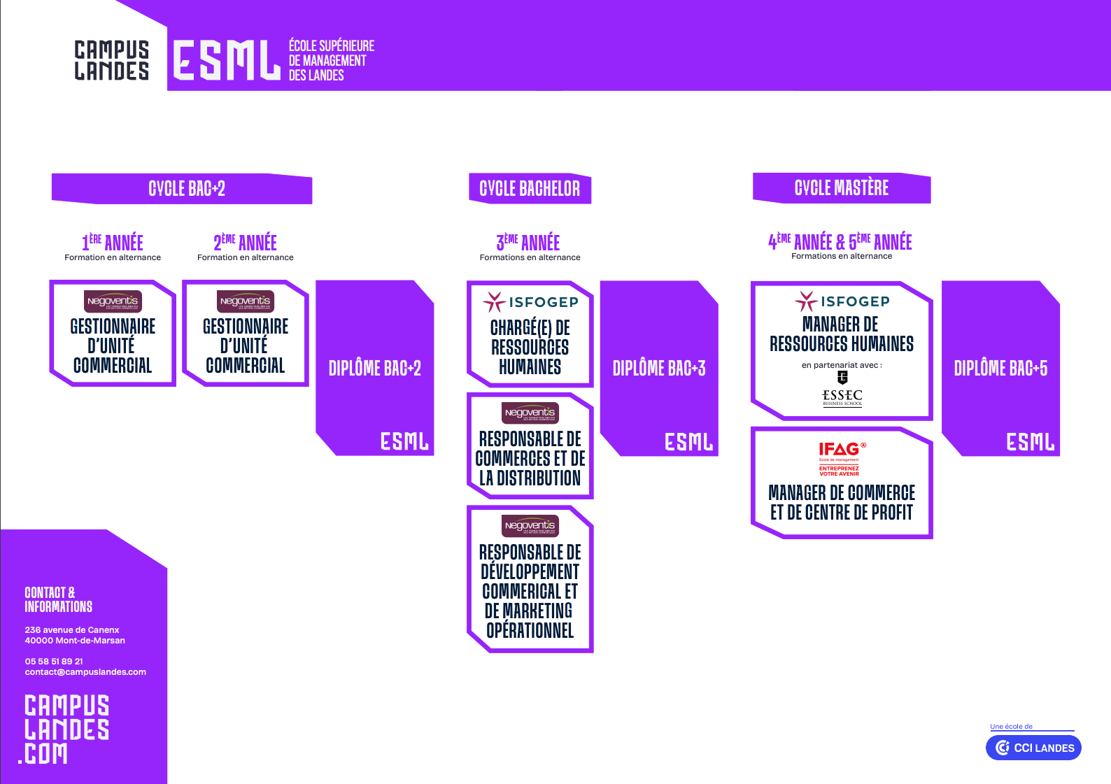 Schema Etudes Management
